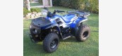 Aeon Cobra 125