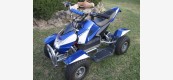 Mini Quad Elettrico