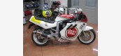 Suzuki GSXR Lucky Strike 