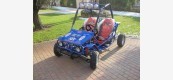 New Grand Buggy BLU