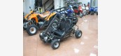 Minibuggy NERA