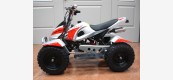 Mini Quad 50cc Avv. Elettrico