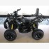 Grizzly 125