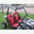 New Grand Buggy NERA