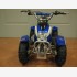 Mini Quad 50 cc con Avviamento Elettrico BLU