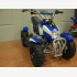 Mini Quad 50 cc con Avviamento Elettrico BLU