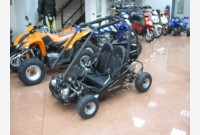 Minibuggy NERA