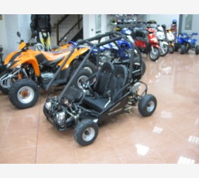 Minibuggy NERA