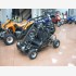 Minibuggy NERA