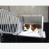 Box per auto per trasporto cani monoposto