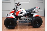 Mini Quad 50cc Avv. Elettrico