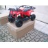 Mini Quad 500 w Modello Scout Utility