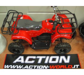 Mini Quad 500 w Modello Scout Utility