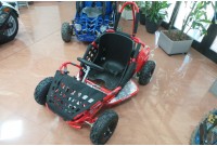 Qad buggy elettrica 1000 watt