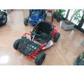 Qad buggy elettrica 1000 watt