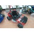 Qad buggy elettrica 1000 watt