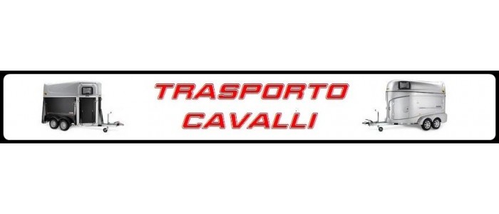 T.Cavalli