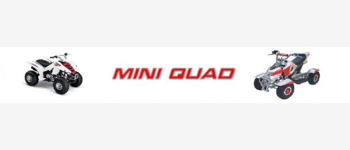 Mini Quad